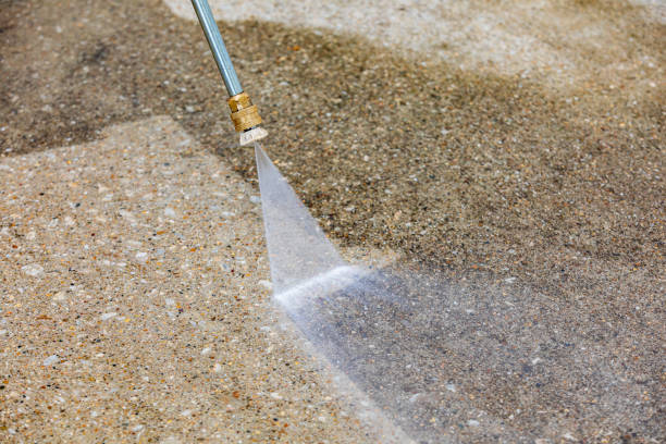 Best Roof Washing  in Belleview, FL