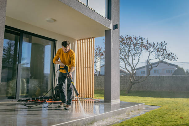 Best Boat and Dock Cleaning  in Belleview, FL